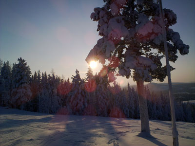 Bifogad bild