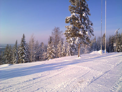 Bifogad bild