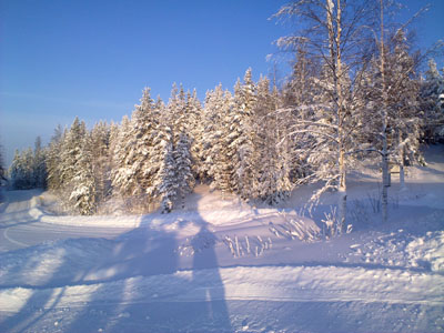 Bifogad bild